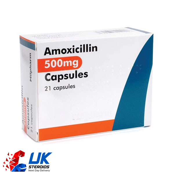 Buy Pharma Grade Amoxicillin 500mg